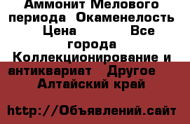 Аммонит Мелового периода. Окаменелость. › Цена ­ 2 800 - Все города Коллекционирование и антиквариат » Другое   . Алтайский край